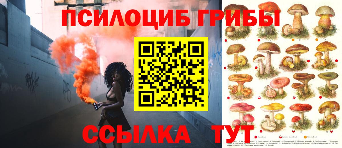 Рубцовск  Псилоцибиновые грибы мицелий  Псилоцибиновые грибы мицелий  Вход с VPN 