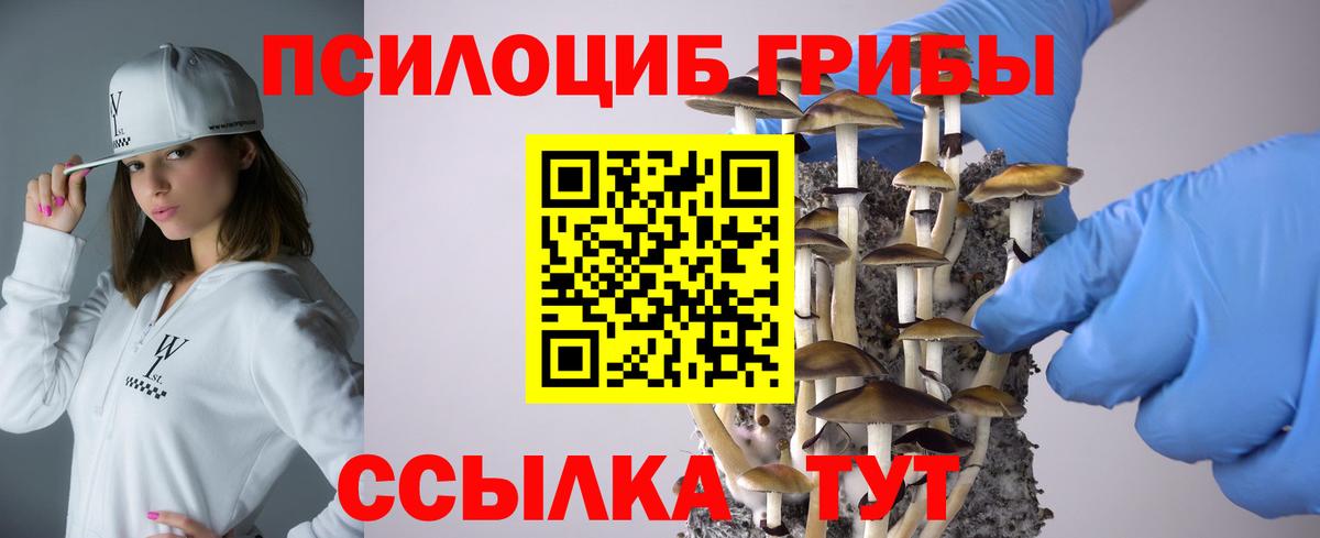 Псилоцибиновые грибы ЛСД Рубцовск